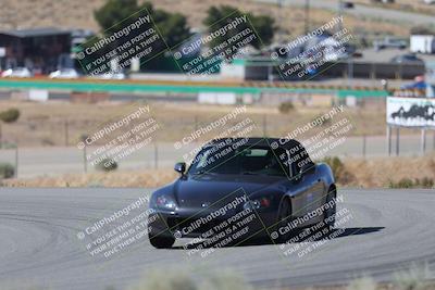 media/May-24-2025-Extreme Speed (Sat) [[067a6f0386]]/Green Group/Turn 2 and 4/